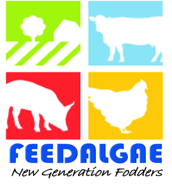 FeedAlgae